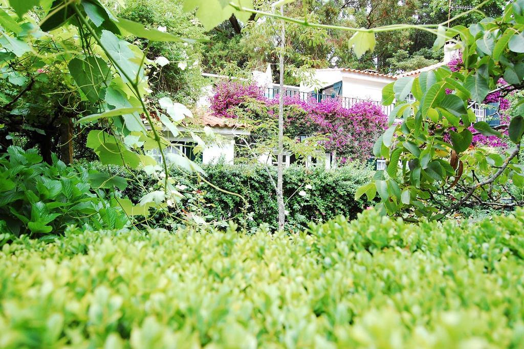 Casa De Esteiro Caminha Ngoại thất bức ảnh